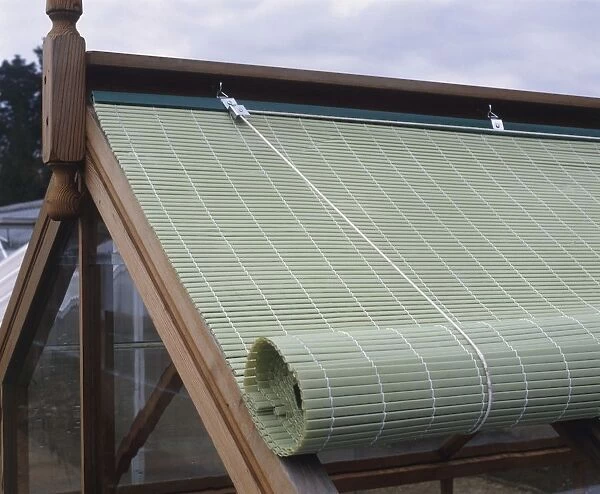 Green roller blind partially rolled over glass roof of greenhouse