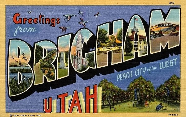 Greeting Card from Brigham, Utah. ca. 1939, Brigham, Utah, USA, Brigham, fifth largest city in Utah, is nestled in the foothills of the vast Rocky Mountain range. Because of the citys beauty, the unusual luscious peaches and the beautiful girls, Brigham is known as the Peach City of the West. Brigham is the gateway to the largest manmade migratory bird refuge in the world and is visited by thousands of tourists annually