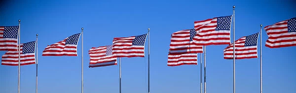 Group of American flags waving, Liberty State Park, New Jersey