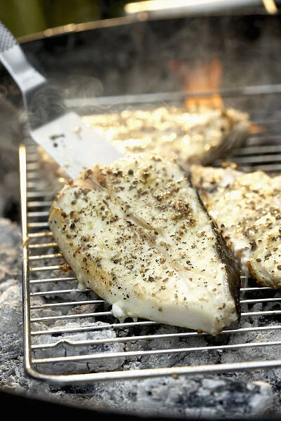 Halibut steaks on barbecue grill, spatula