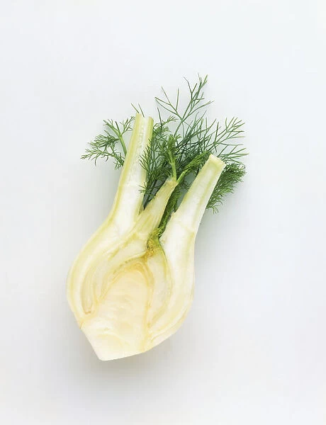 Halved fennel bulb, close up