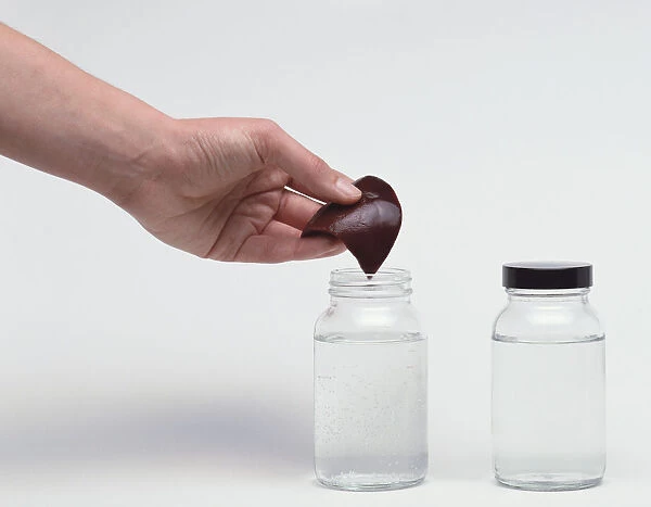 Hand putting liver into jar of clear liquid