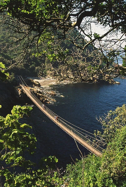 A hanging bridge across Storms River Mouth in the Tsitsikamma National Park