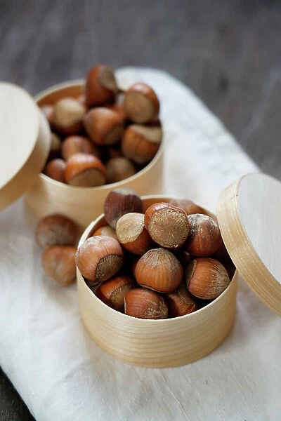 Hazelnuts, products rich in Vitamin E for a healthy diet, Italy, Europe