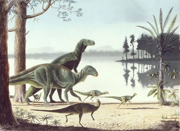 A herd of small Hypsilophodon disturbed by a pair of Iguanodon on the shores of an early Cretaceous lake