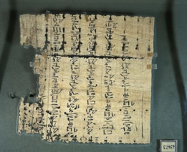 Hieratic script on papyrus