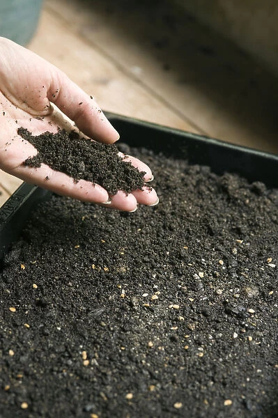Human hand holding mixture of compost and soil