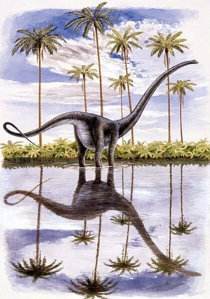 Illustration of Alamosaurus on lake shore