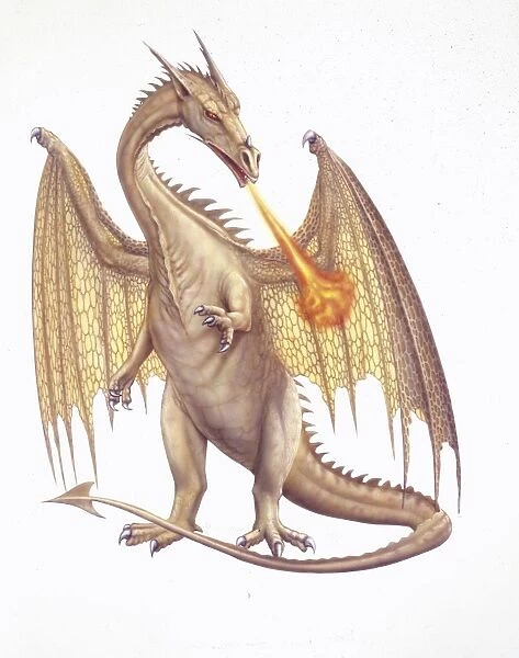 Illustration of Dragon