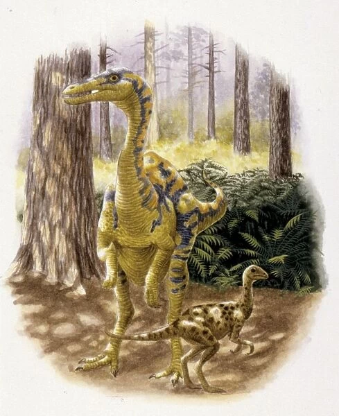 Illustration of Dromiceiomimus with young