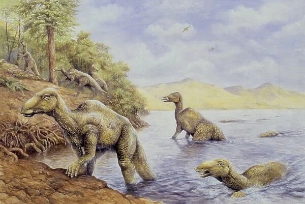 Illustration of Edmontosaurus getting out of lake