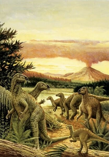 Illustration of herd of Iguanodons