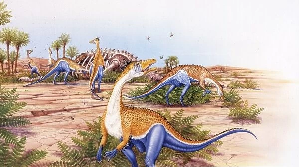 Illustration of herd of Megapnosauruses near carcass