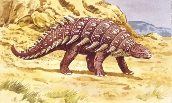 Illustration of Hylaeosaurus