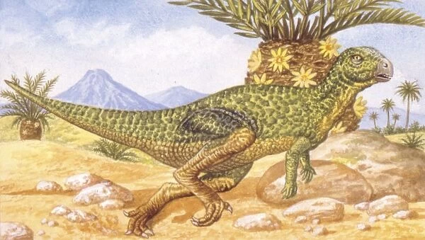 Illustration of Hypsilophodon