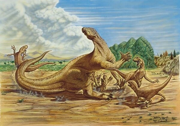 Illustration of Iguanodon fighting