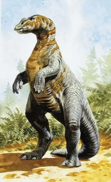 Illustration of Kritosaurus