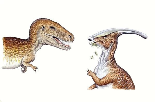 Illustration representing Albertosaurus and Parasaurolophus