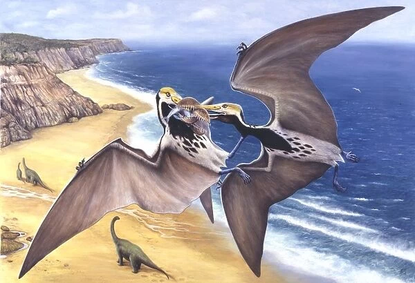 Illustration representing pair of Tropeognathus flying above seashore