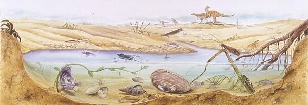 Illustration representing watertight ecosystem during summer
