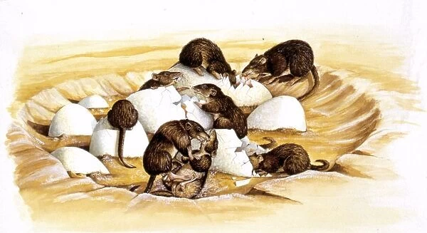 Illustration of rodents attacking dinosaur nest and eating eggs