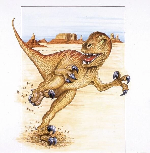 Illustration of Utahraptor