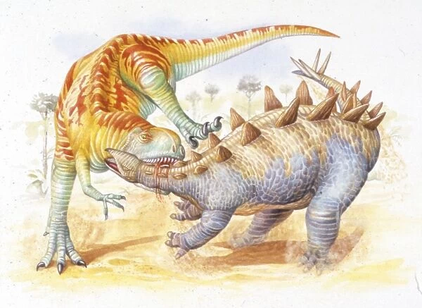 Illustration of Yangchuanosaurus fighting