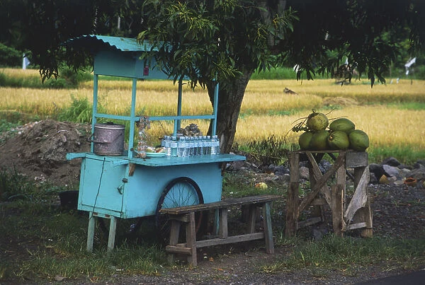 Indonesia, East Bali, near Candi Dasa, road-side food stall selling water and fruit