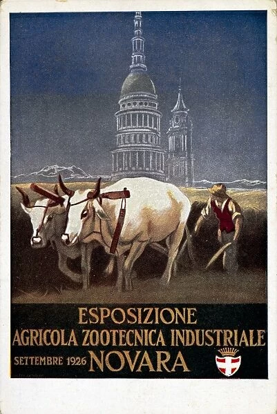 Industrial, agricultural and zootechnical exhibition, Novara, September 1926, poster