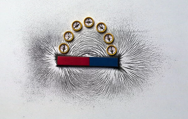 Iron filings and plotting compasses reveal the lines of magnetic force around a magnet. Clusters of filings around the poles (ends) of the magnet. The field is shown in one plane only, extending in a similar pattern in all directions around the magnet