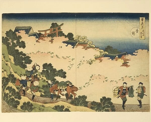 Italy, Genoa, cherry blossoms in Yoshino by Katsushika Hokusai (1760-1849), woodcut