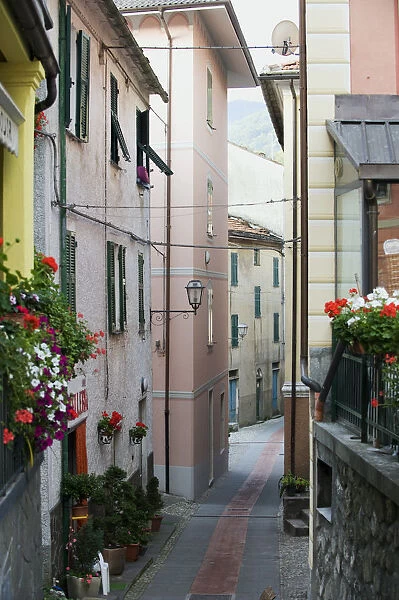 Italy, Genoa, Montebruno, narrow street lined with tall, pastel coloured buildings