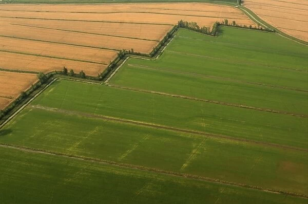 Italy, Lombardy Region, Mantova, Aerial view of cultivated area near Roncoferraro