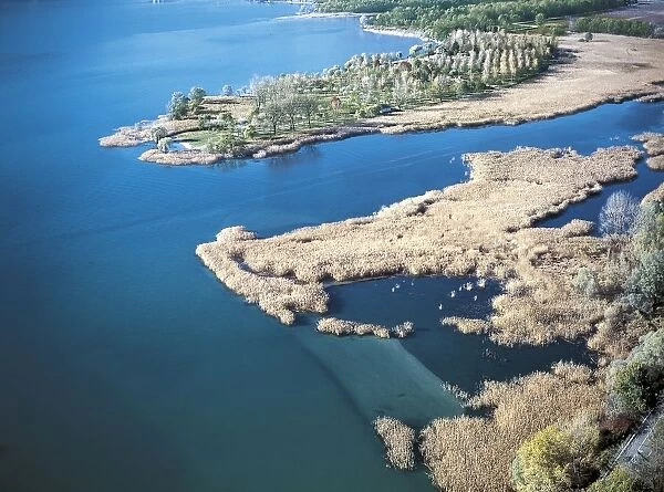 Italy, Piedmont, Lake Maggiore, Fondotoce Nature Reserve, aerial view