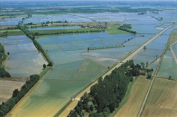 Italy, Piedmont, Novara, rice fields