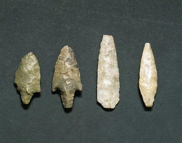 Italy, prehistory, eneolithic, Tools from Pulo di Molfetta sinkhole, Apulia Region, Italy