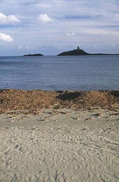 Italy, Sardinia Region, Cagliari province, Surroundings of Nora, Su Guventeddu beach with Torre del Coltellazzo in background