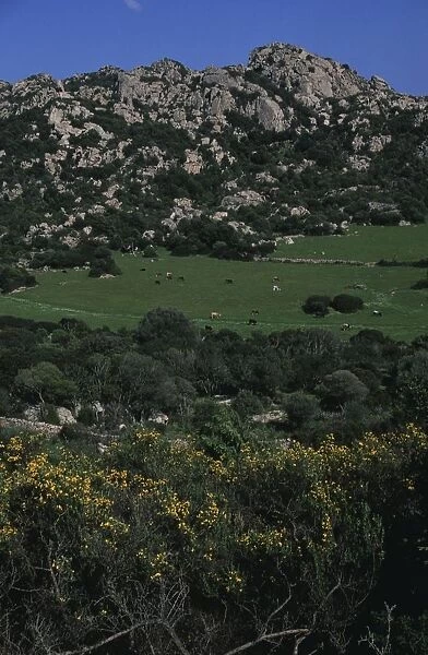 Italy, Sardinia Region, Gallura, Landscape
