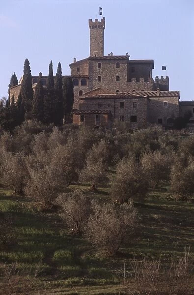 Italy, Tuscany, Val d Orcia Natural Park, Surroundings of Montalcino, Siena, Poggio alle Mura Castle, 15th century