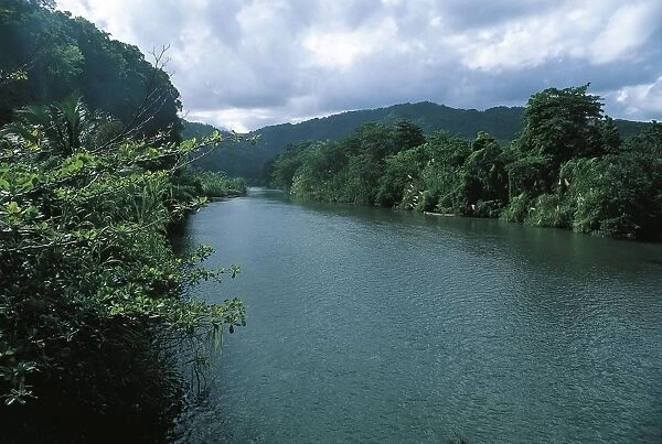 Jamaica, The Rio Blanco and tropical forest