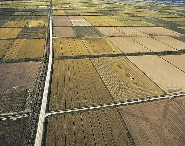 Japan, Akita Prefecture, Honshu Island, Aerial view of rice fields near Hachirogata