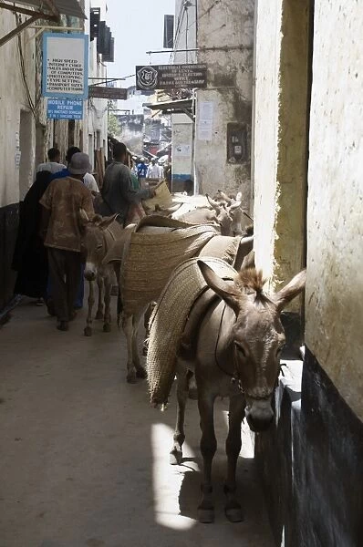 Kenya, Lamu Island, donkeys and people on narrow street in old town