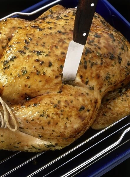 Knife wedged into the flesh of roast chicken, close up