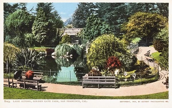 Lake Alvord, Golden Gate Park, San Francisco, Cal. Postcard. 1904, Lake Alvord, Golden Gate Park, San Francisco, Cal. Postcard