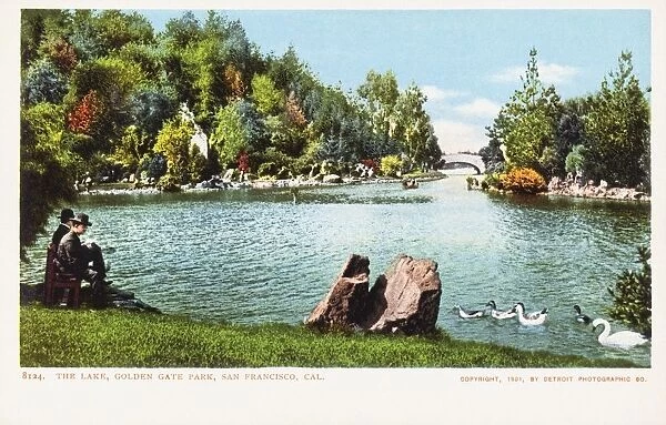 The Lake, Golden Gate Park, San Francisco, Cal. Postcard. 1901, The Lake, Golden Gate Park, San Francisco, Cal. Postcard