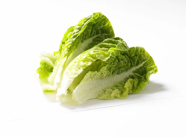 Lettuce leaves on white background, close-up