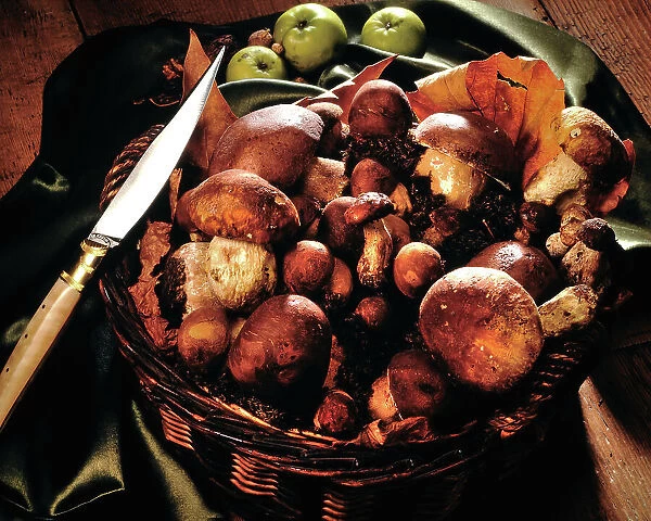 Still life, Food and wine, porcini mushrooms