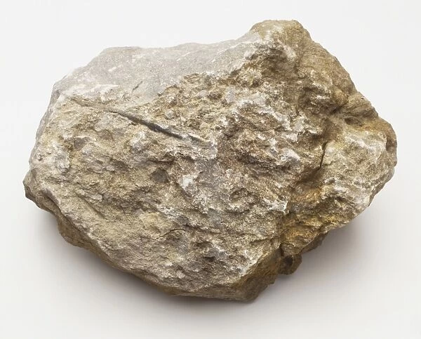Limestone rock, close up