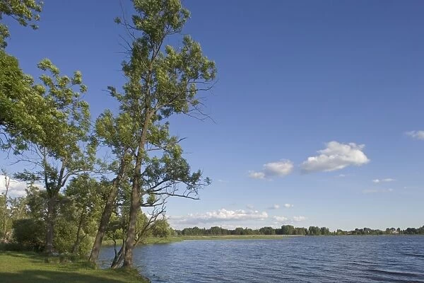 Lithuania, Panevezys County, Birzai Regional Park, Lake Sirvena banks