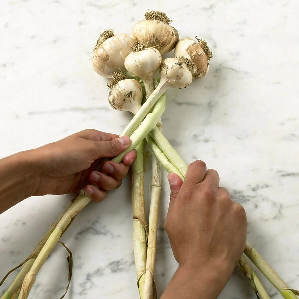 Making garlic plait
